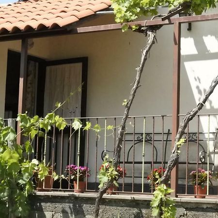 Casa Vacanza Etna Evergreen Piedimonte Etneo Exterior foto
