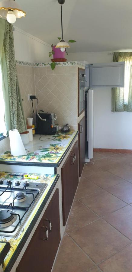 Casa Vacanza Etna Evergreen Piedimonte Etneo Exterior foto