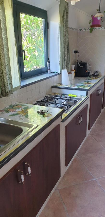 Casa Vacanza Etna Evergreen Piedimonte Etneo Exterior foto
