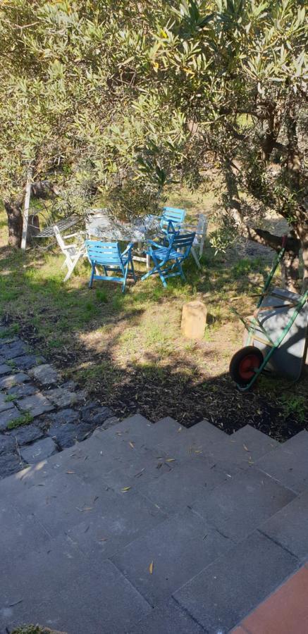 Casa Vacanza Etna Evergreen Piedimonte Etneo Exterior foto