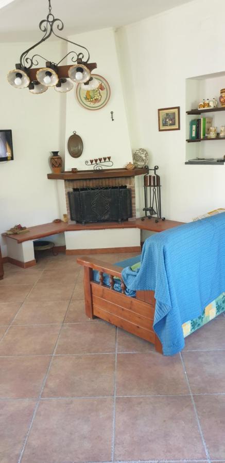 Casa Vacanza Etna Evergreen Piedimonte Etneo Exterior foto