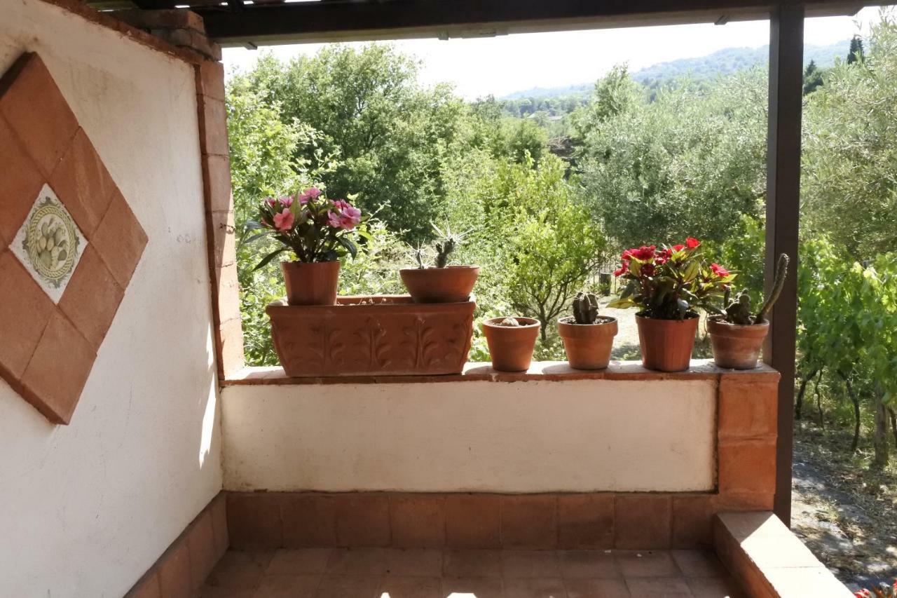 Casa Vacanza Etna Evergreen Piedimonte Etneo Exterior foto