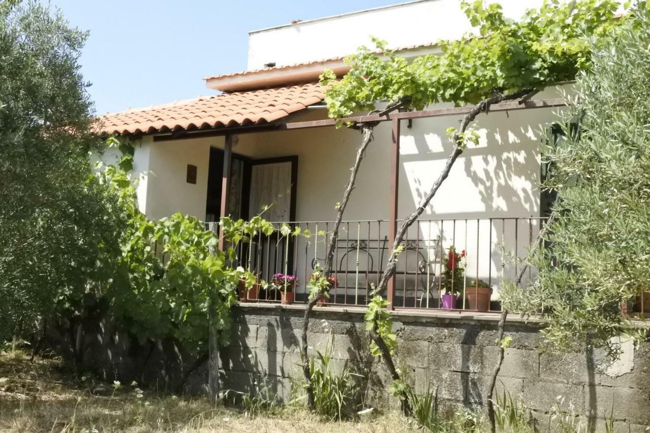 Casa Vacanza Etna Evergreen Piedimonte Etneo Exterior foto